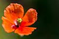 2019_05_23 (0007)